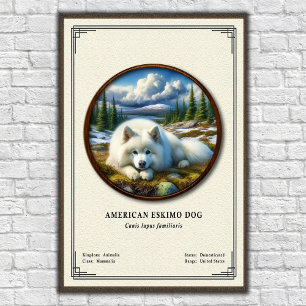 American Eskimo Dog Zoology Series Poster