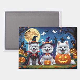 American Eskimo Dogs Pumpkin Halloween Funny Magnet
