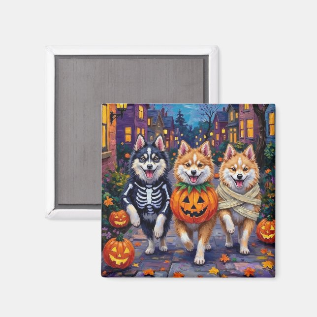 American Eskimo Dogs Trick-or-Treating Halloween Magnet (Front/Back)