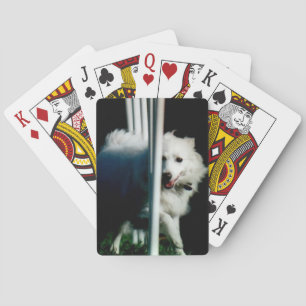 American Eskimo (Eskie) weaving in Shadow Poker Cards