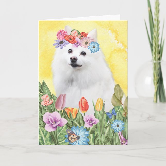 American Eskimo Flowers Spring Card (Front)