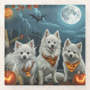 American Eskimo Halloween Spooky Glass Coaster