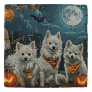 American Eskimo Halloween Spooky Trivet