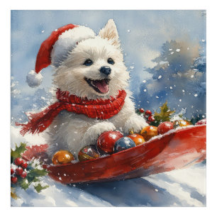 American Eskimo in Sledge Let it Snow Christmas Acrylic Print