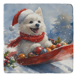 American Eskimo in Sledge Let it Snow Christmas Trivet