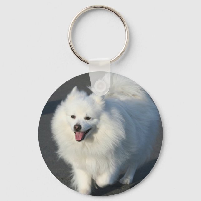 American Eskimo keychain (Front)