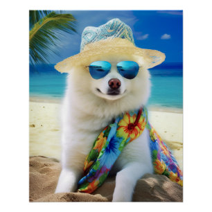 American Eskimo on Beach,summer gift for dog lover Poster