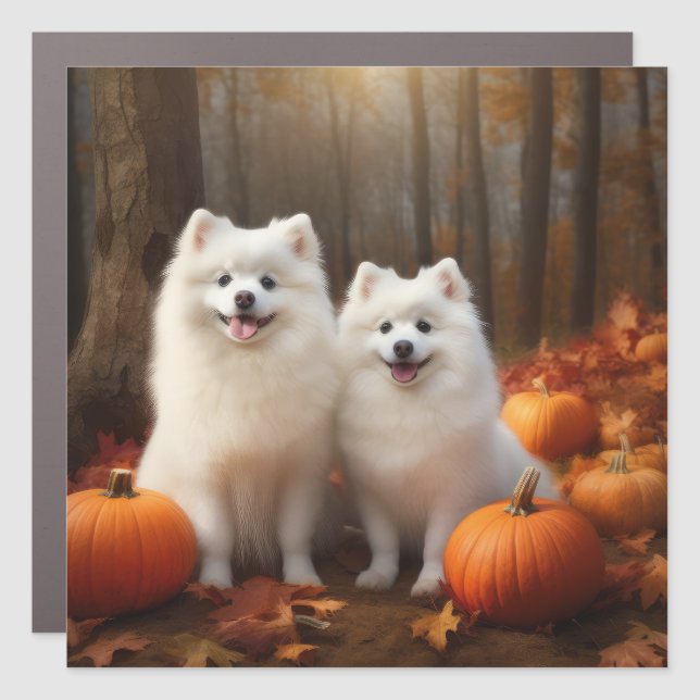 American Eskimo Puppy Autumn Delight Pumpkin Car Magnet (Front)