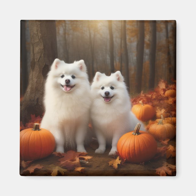 American Eskimo Puppy Autumn Delight Pumpkin Magnet (Front)