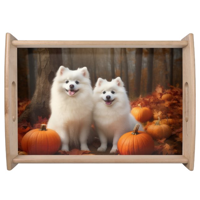 American Eskimo Puppy Autumn Delight Pumpkin Serving Tray (Front)