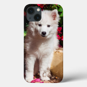 American Eskimo puppy iPhone 13 Case