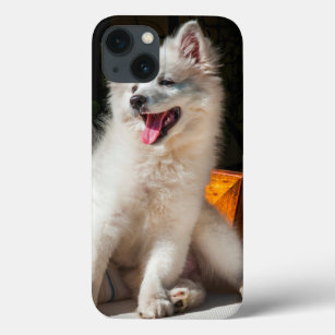 American Eskimo puppy sitting on a lawn chair iPhone 13 Case