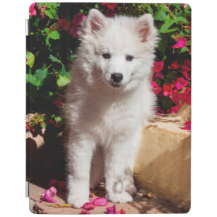 American Eskimo puppy sitting on garden stairs iPad Smart Cover