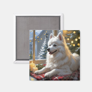 American Eskimo With Christmas Lights Holiday Magnet