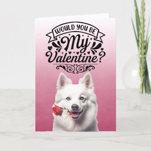 American Eskimo with rose Custom Valentines Day Holiday Card