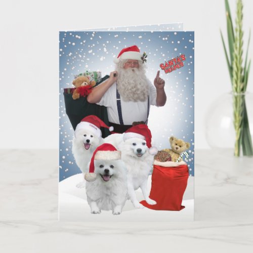 American Eskimos Santas Helpers cards