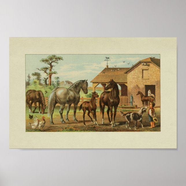American Farmer Vintage Print Horses Dog (Front)