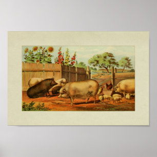 American Farmer Vintage Print Pigs Chickens
