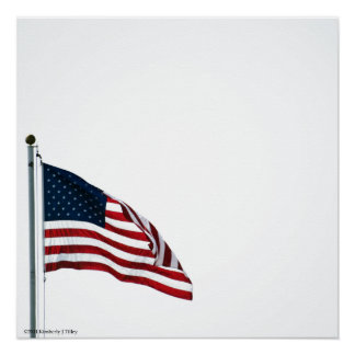 American Flag 2371 Poster