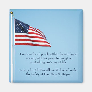 American Flag 2412 Magnet
