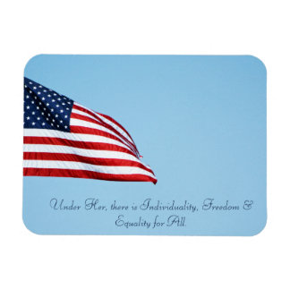 American Flag 2412 Magnet