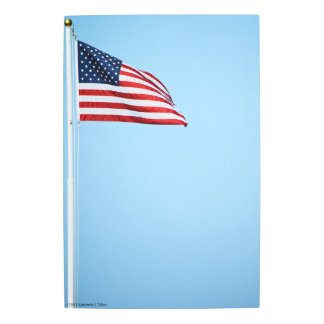 American Flag 2412 Metal Print