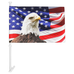 American Flag and Bald Eagle,