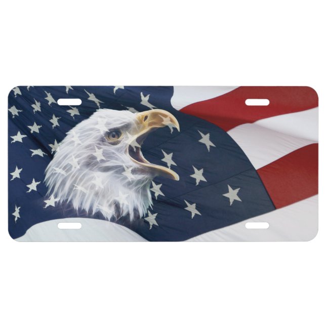 American flag and bald eagle license plate (Front)