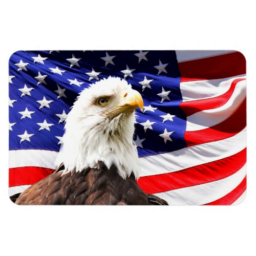 American Flag and Bald Eagle Magnet