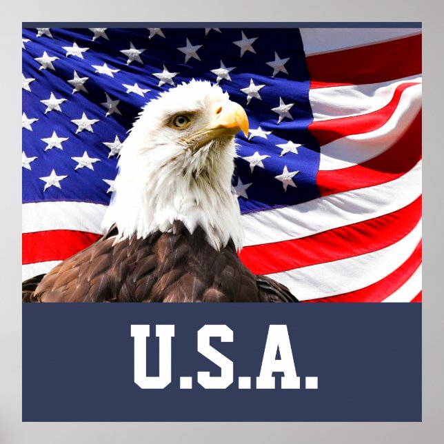 American Flag and Bald Eagle Poster (Front)