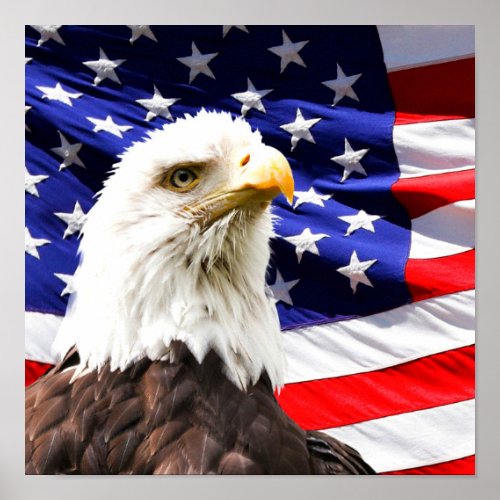 American Flag and Bald Eagle Poster