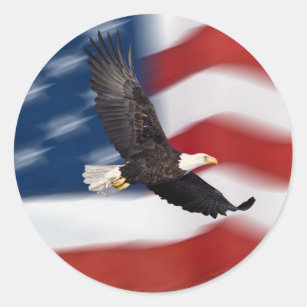 American flag and eagle classic round sticker
