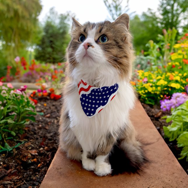 American flag background pet bandana collar (Cat)