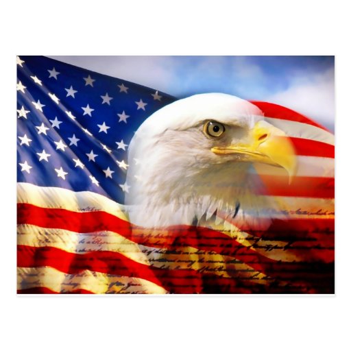 American Flag Bald Eagle Postcard | Zazzle