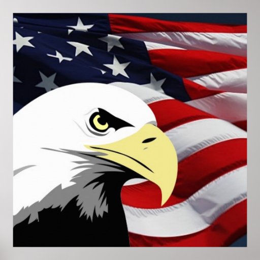 Bald Eagle And American Flag Posters, Bald Eagle And American Flag ...