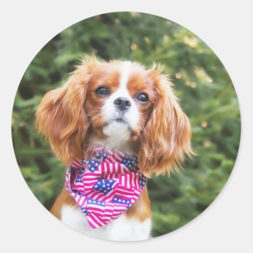American Flag Cavalier King Charles Spaniel Puppy Classic Round Sticker