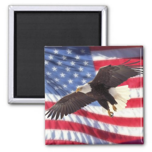 American Flag  Eagle Magnet