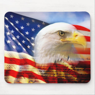 iPhone 13 Cool USA Flag Distressed American Eagle Shirt, Eagles Case