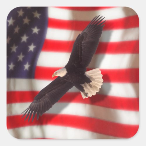American Flag  Eagle Sticker