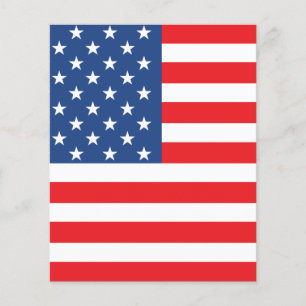 American Flag Flyer