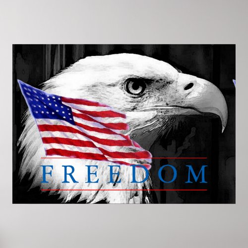 American Flag Freedom Eagle Eye Poster