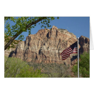 American Flag in Zion National Park I Cards