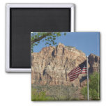 American Flag in Zion National Park I Magnet