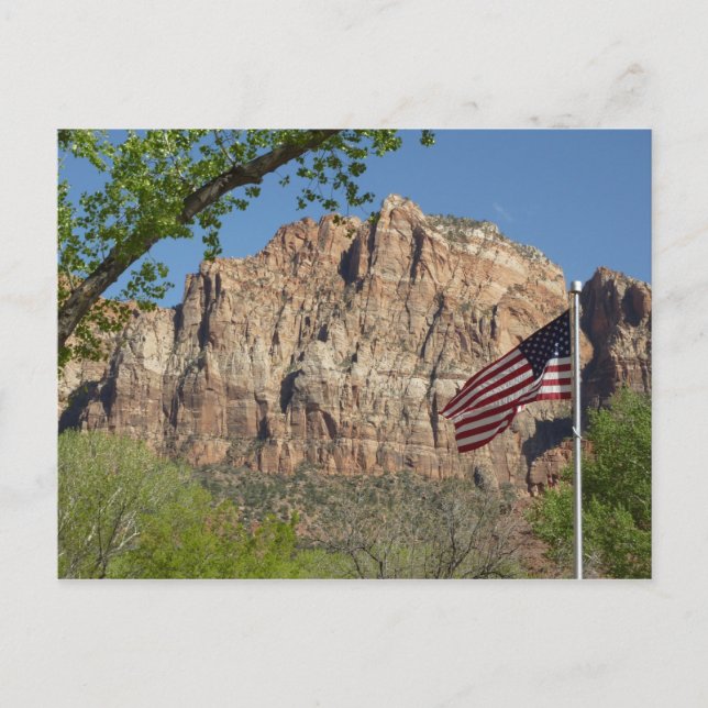 American Flag in Zion National Park I Postcard (Front)