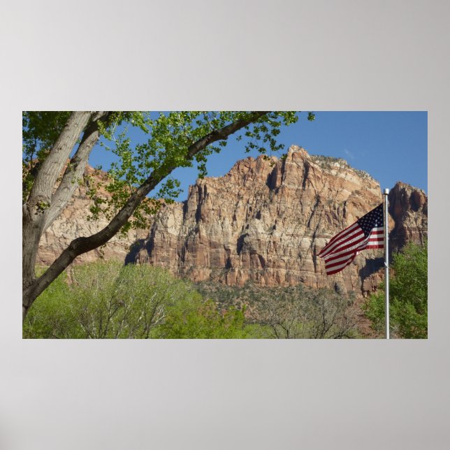 American Flag in Zion National Park I Poster (Front)