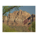 American Flag in Zion National Park I Wood Wall Art