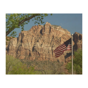 American Flag in Zion National Park I Wood Wall Art