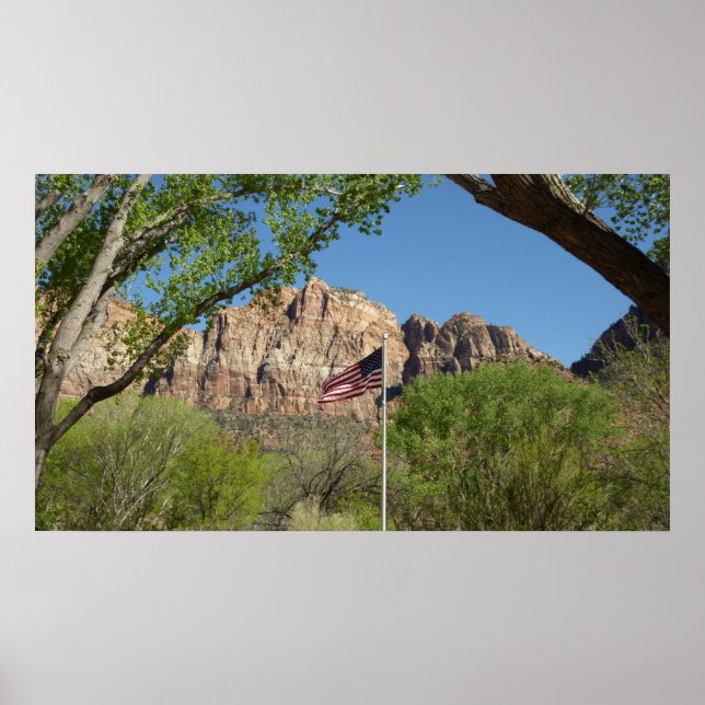 American Flag in Zion National Park II Poster (Front)