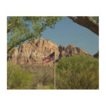 American Flag in Zion National Park II Wood Wall Decor