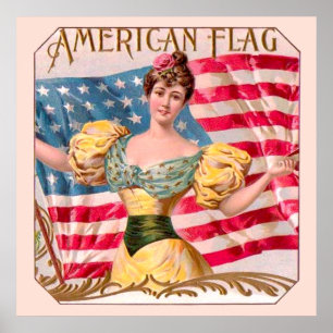 American Flag Lady Liberty Independence  Poster